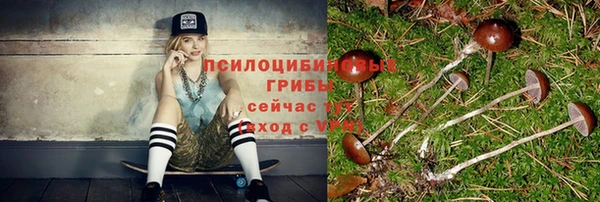 прущие грибы Нея