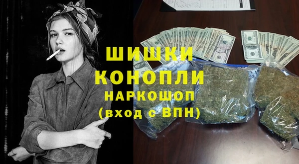 трава Новодвинск